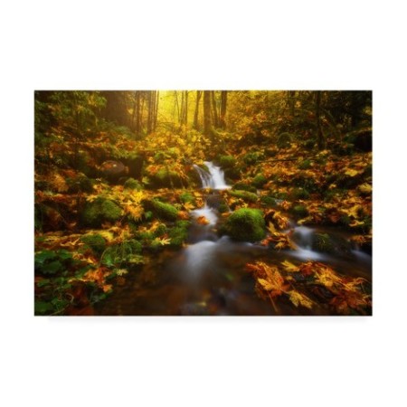 Darren White Photography 'Golden Creek Cascade' Canvas Art,12x19 -  TRADEMARK FINE ART, ALI46526-C1219GG
